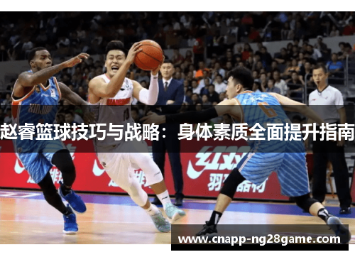 赵睿篮球技巧与战略:身体素质全面提升指南 赵睿篮球技巧与战略:身体素质全面提升指南