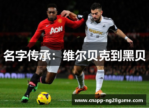 名字传承:维尔贝克到黑贝 名字传承:维尔贝克到黑贝