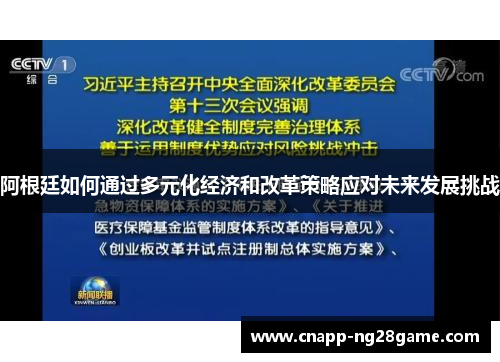 阿根廷如何通过多元化经济和改革策略应对未来发展挑战 阿根廷如何通过多元化经济和改革策略应对未来发展挑战