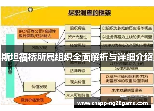 斯坦福桥所属组织全面解析与详细介绍 斯坦福桥所属组织全面解析与详细介绍